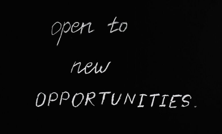 mutf innovation opportunity insight