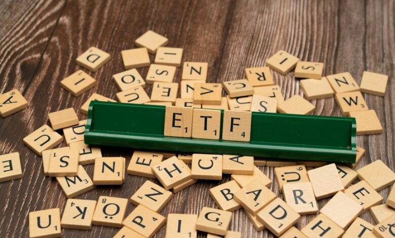 mutual fund investment option