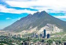 business expansion projections ahead